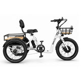 Emojo Trikes  Bull