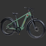 Grateful Dead Koa Rev+ 2 Fat Tire Electric Bike