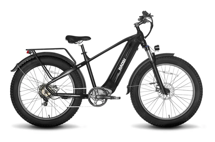 HAOQI Eagle Long Range Electric Bicycle