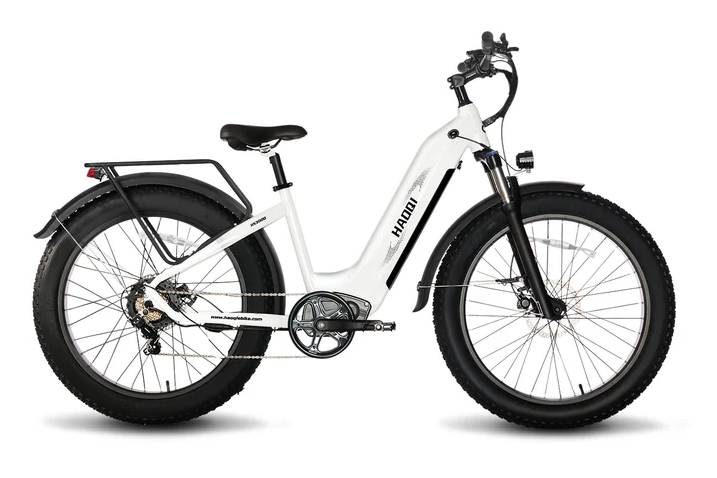 HAOQI Eagle Long Range Electric Bicycle