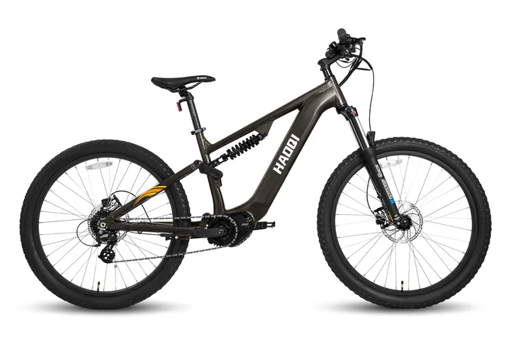 HAOQI Mustang Premium Electric Mountain Bike