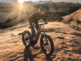 Heybike Hero--Best Carbon-Fiber All-Terrain Ebike