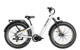 Heybike Alpha Electric Bike