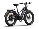 Himiway D5 2.0 eBike