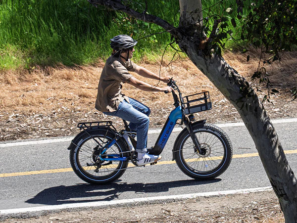 Heybike Horizon 24" Fat Tire Full Suspension Folding