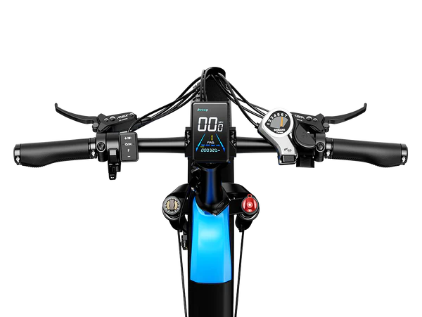 Heybike Horizon 24" Fat Tire Full Suspension Folding