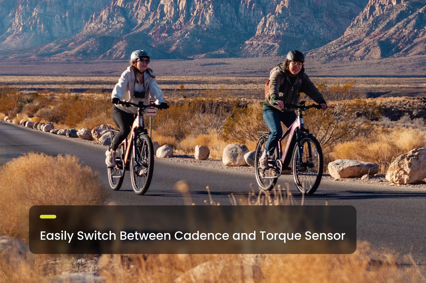 Aventon Level 3 Ebike
