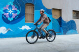 Aventon Level 4 REC Ebike