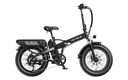 Heybike Mars 2.0 750/1000W --Upgraded 20" x 4" fat tire ebike with folding design
