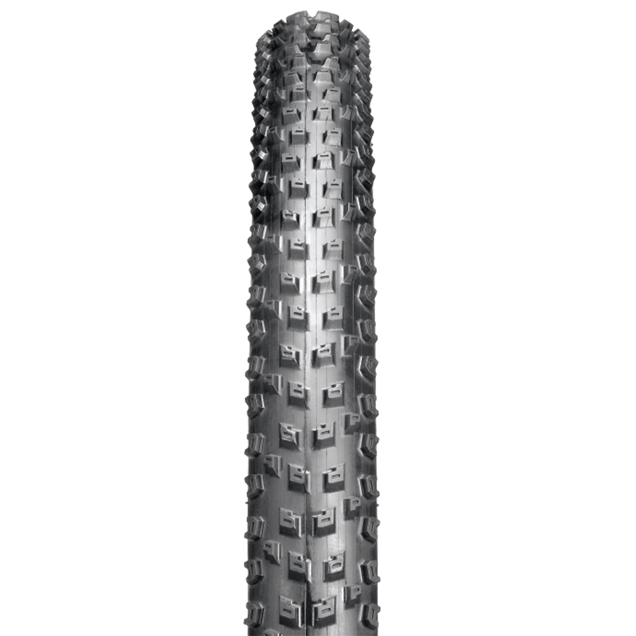 (MTBO-29-2.4) Ocotillo MTB