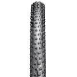 (MTBO-29-2.4) Ocotillo MTB