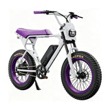 Macfox E-bike X1S x Bs.zay