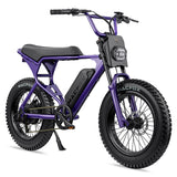 Macfox X1S Commuter E-bike