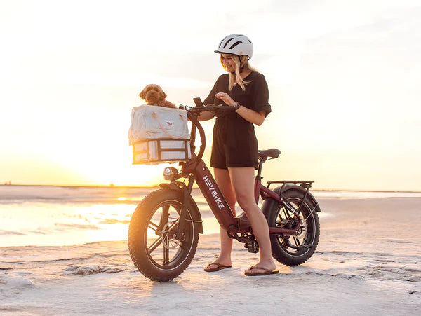 Heybike Ranger  S Powerful Folding E-bike with Fat Tires for Versatile Usages-Blue