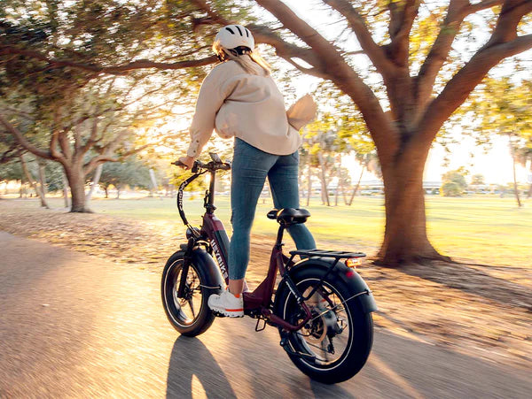 Heybike Ranger  S Powerful Folding E-bike with Fat Tires for Versatile Usages-Blue