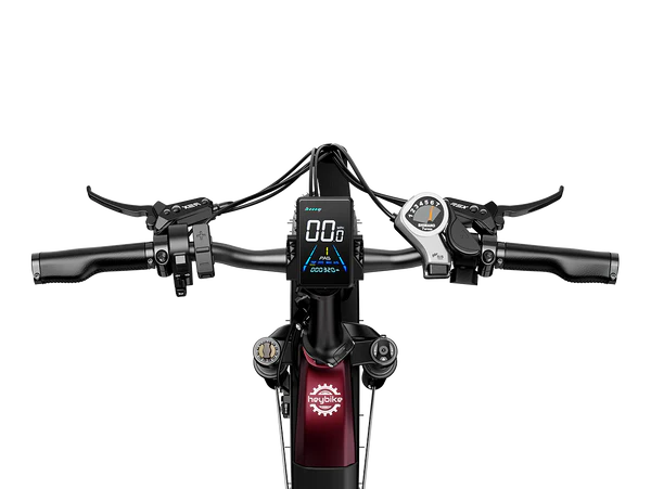 Heybike Ranger  S Powerful Folding E-bike with Fat Tires for Versatile Usages-Blue