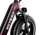Heybike Ranger  S Powerful Folding E-bike with Fat Tires for Versatile Usages-Blue