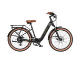 Aima Santa Monica Ebike
