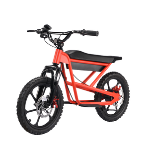 Zerooxride Kids Electric Dirtbike ZXR-16Pro