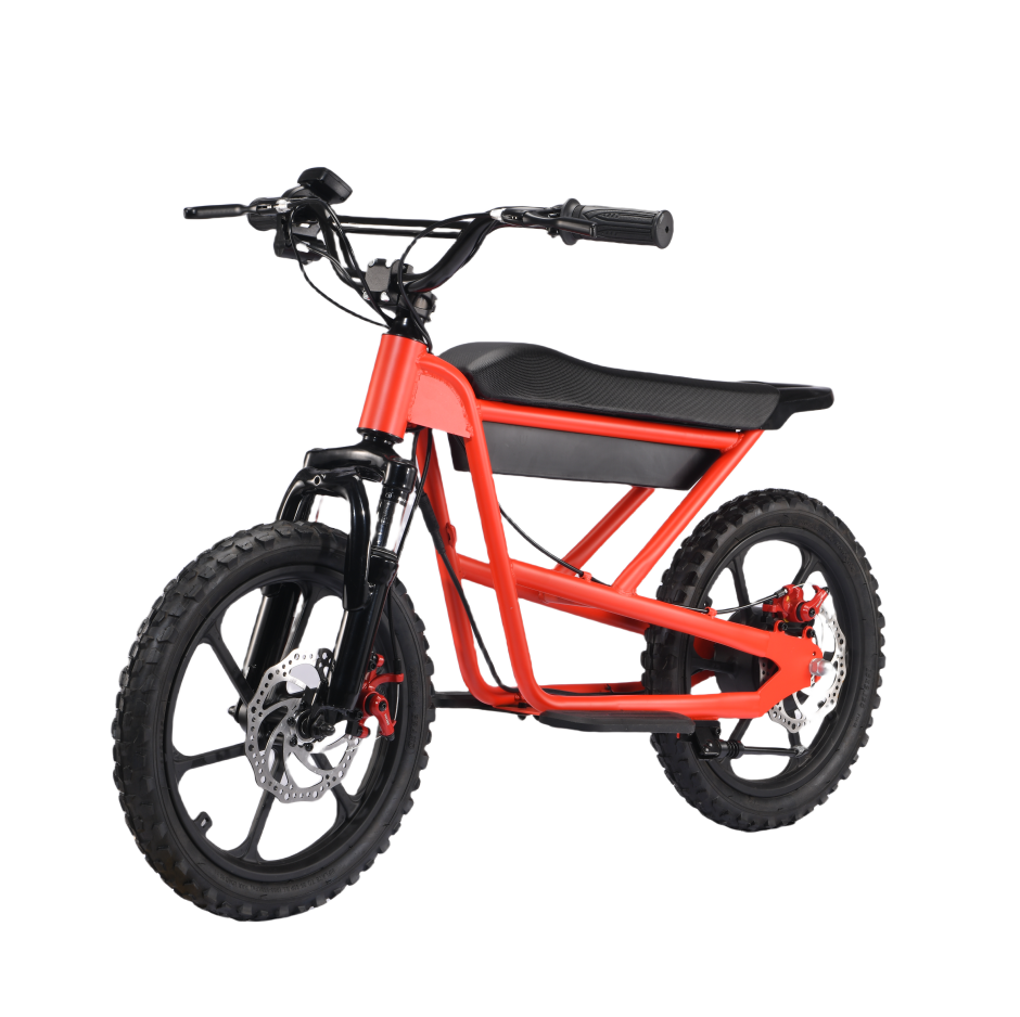 Zerooxride  Kids Electric Dirtbike ZXR-16Pro