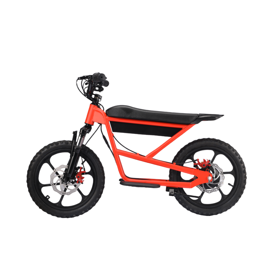 Zerooxride  Kids Electric Dirtbike ZXR-16Pro
