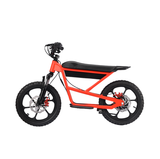 Zerooxride  Kids Electric Dirtbike ZXR-16Pro
