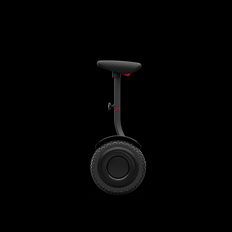 Segway Ninebot S2 Self-Balancing Scooter