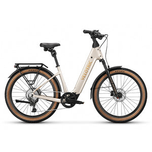 Velotric Discover M Ebike
