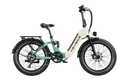 Heybike Horizon 24" Fat Tire Full Suspension Folding