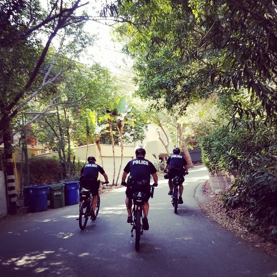 Bulls Police Ebike SENTINEL 750