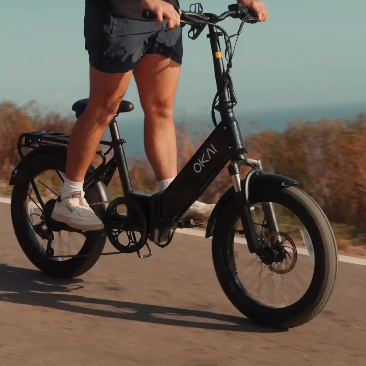 OKAI FlexMov EBF10 Folding Electric Bike for Adults 350W Long Range 59 Miles 20x3 Fat Tires