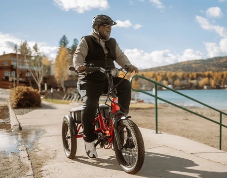 Velotric Triker Electric Tricycle