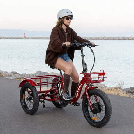 NEW-TRIKE 2.0
