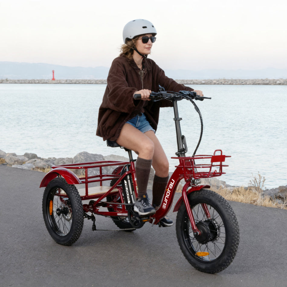 NEW-TRIKE 2.0