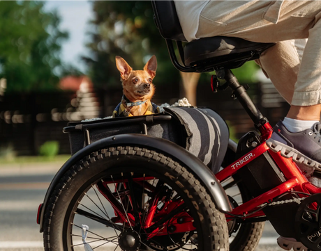 Velotric Triker Electric Tricycle